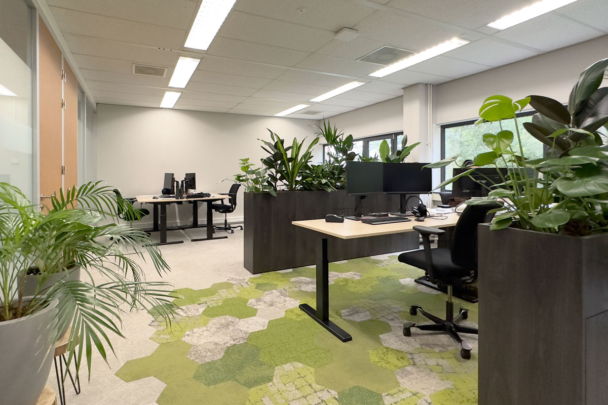 Kantoortuin voor HOD in Utrecht met maatwerk plantenbakken en circulair tapijt.